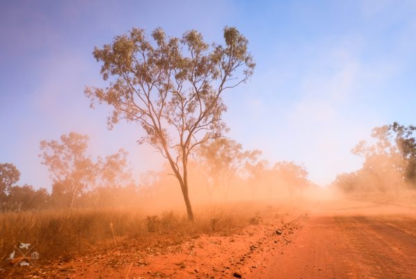 Tips: 10 Things You Should Know About the Outback
