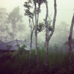 Bali W Czasie Deszczu