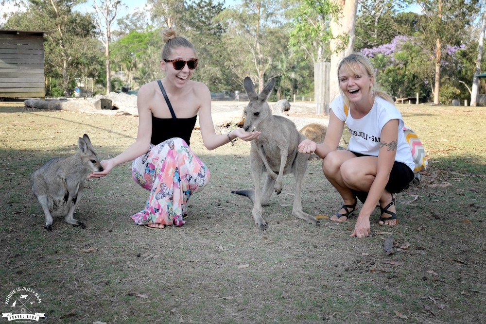 Aneta, Julia i kangury