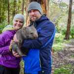 Tasmania Przytulanie Wombata Zoo