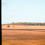 Queensland Outback