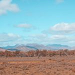 Szczyty Flinders Ranges