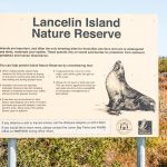 Wycieczka Z Perth Foki Lancelin